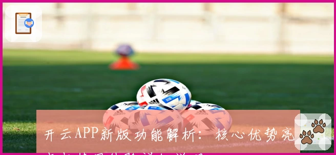 开云APP新版功能解析：核心优势亮点与使用体验详细说明